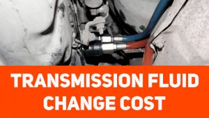 manual transmission fluid change cost